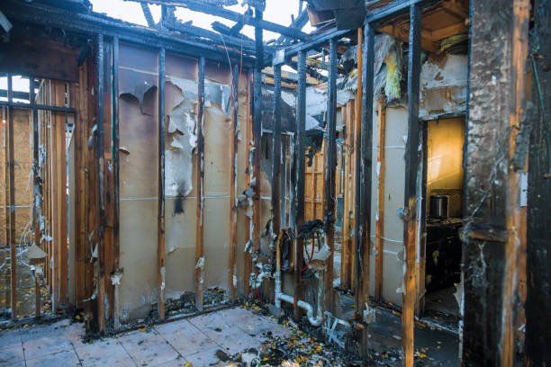 Professional Fire Damage Removal technician working in Tylertown, MS